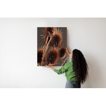 Poster Trockene Klette