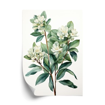 Poster Weiße Blüten Auf Einem Zweig