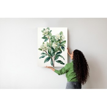 Poster Weiße Blüten Auf Einem Zweig