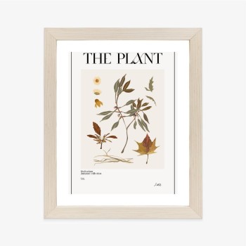 Poster Atlas Der Herbstblätter
