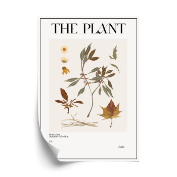 Poster Atlas Der Herbstblätter