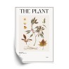 Poster Atlas Der Herbstblätter