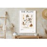 Poster Atlas Der Herbstblätter