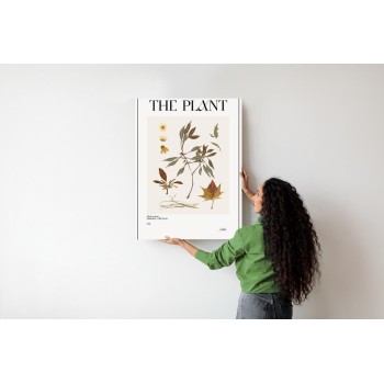 Poster Atlas Der Herbstblätter