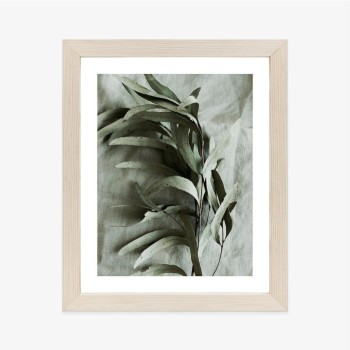 Poster Grüner Zweig Mit Trockenem Eukalyptus