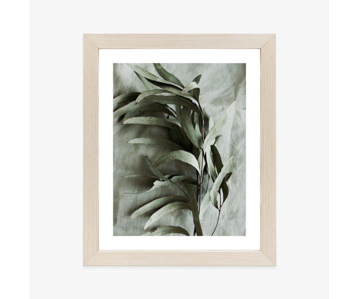 Poster Grüner Zweig Mit Trockenem Eukalyptus