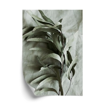 Poster Grüner Zweig Mit Trockenem Eukalyptus