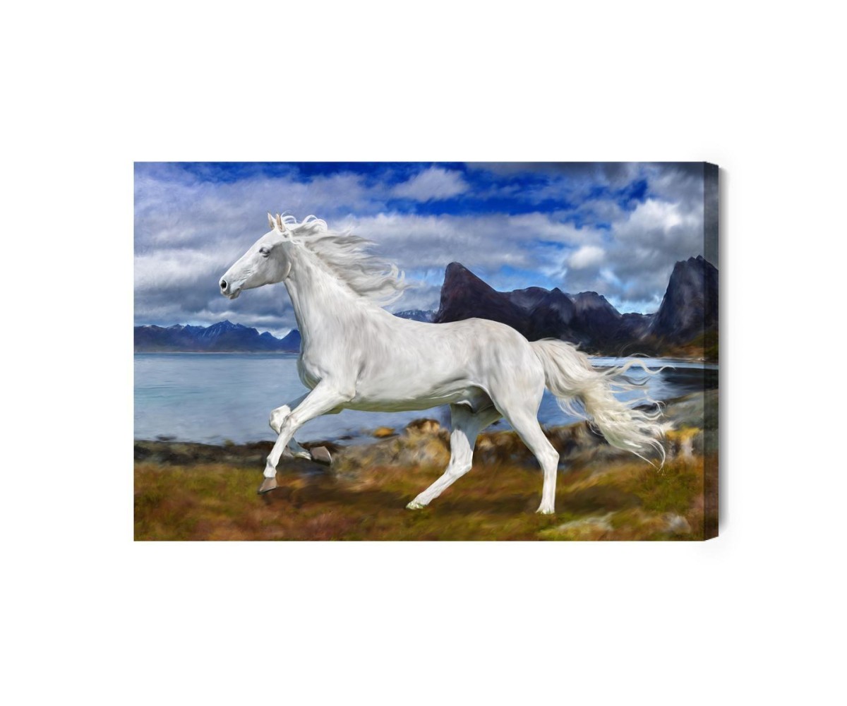 Leinwandbild Pferd Im Galopp