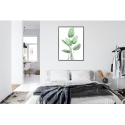 Poster Weiße Strelitzie Rahmen Aluminium Farbe Schwarz