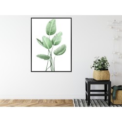 Poster Weiße Strelitzie Rahmen Aluminium Farbe Schwarz