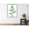 Poster Weiße Strelitzie Rahmen Aluminium Farbe Schwarz