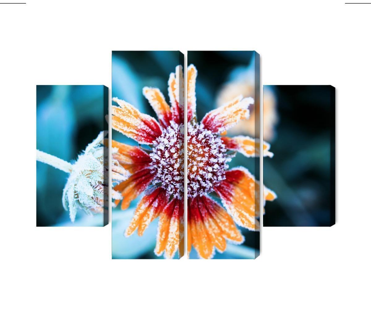 Mehrteiliges Bild Rudbeckia-Blüten Mit Reif Bedeckt