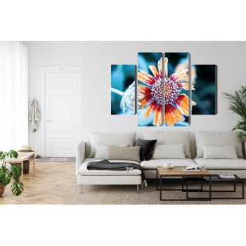 Mehrteiliges Bild Rudbeckia-Blüten Mit Reif Bedeckt
