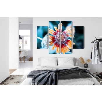 Mehrteiliges Bild Rudbeckia-Blüten Mit Reif Bedeckt