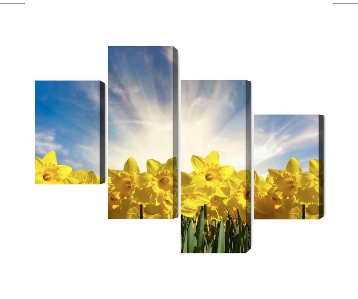 Mehrteiliges Bild 3D Narzissenfeld