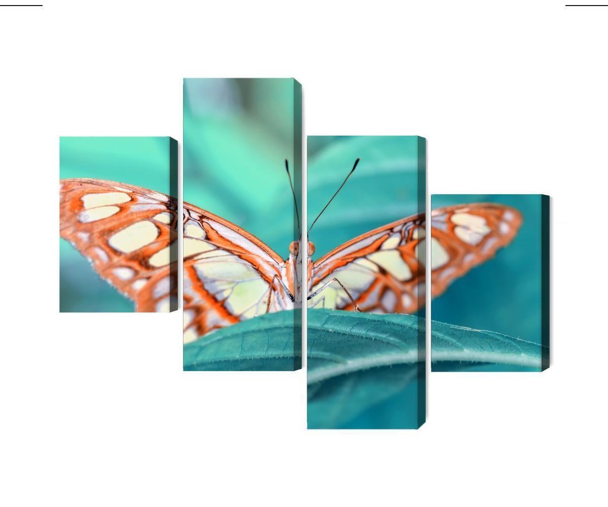 Mehrteiliges Bild Ein Schmetterling Auf Einem Blatt Im Makromaßstab