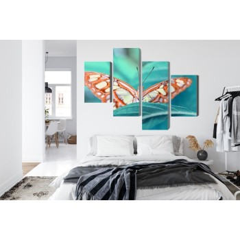Mehrteiliges Bild Ein Schmetterling Auf Einem Blatt Im Makromaßstab