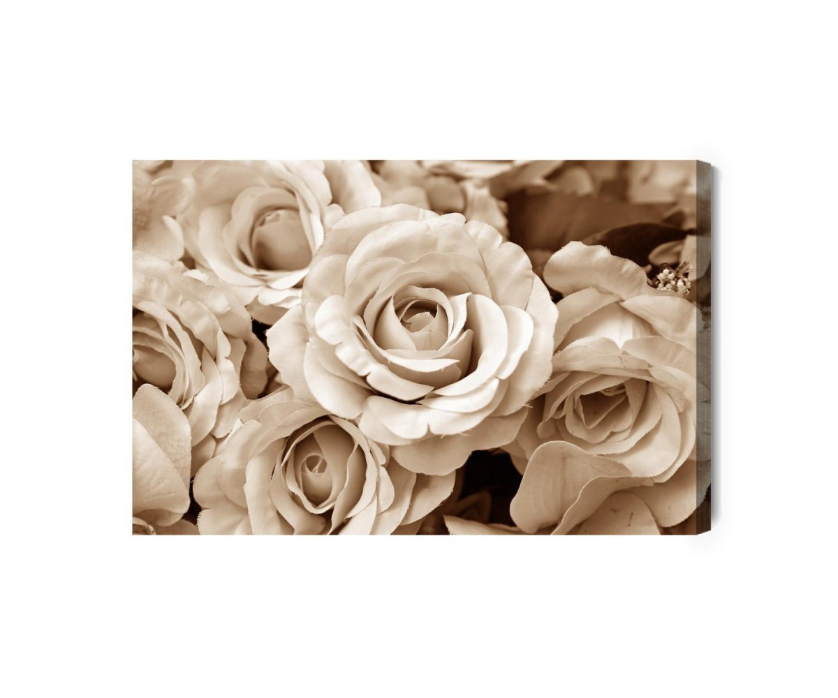 Leinwandbild Vintage-Rosenblüten