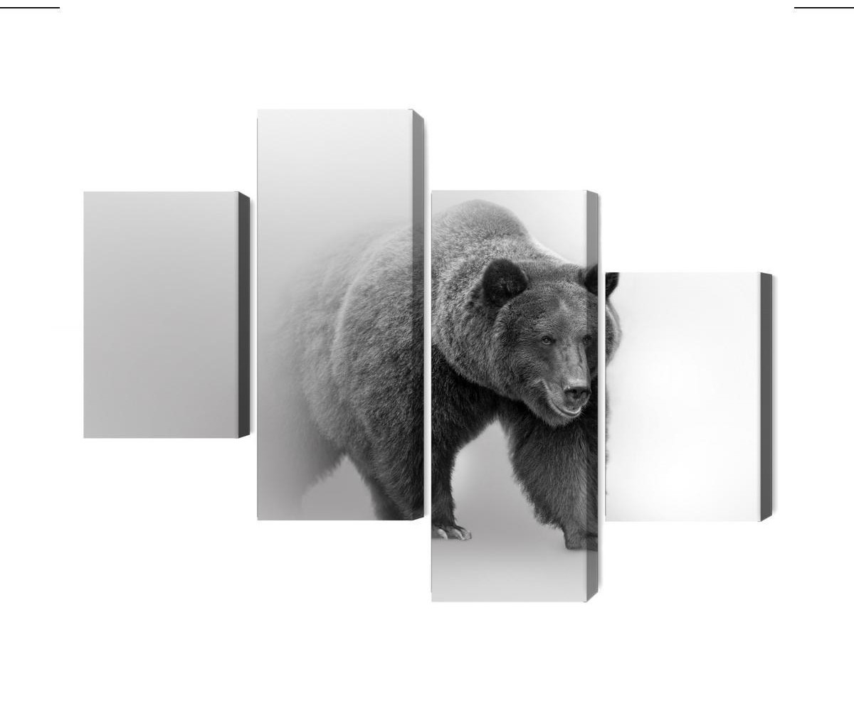 Mehrteiliges Bild Bär Im Nebel 3D