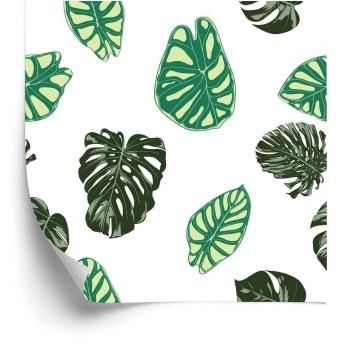 Tapete Monstera- Und Alocasia-Blätter