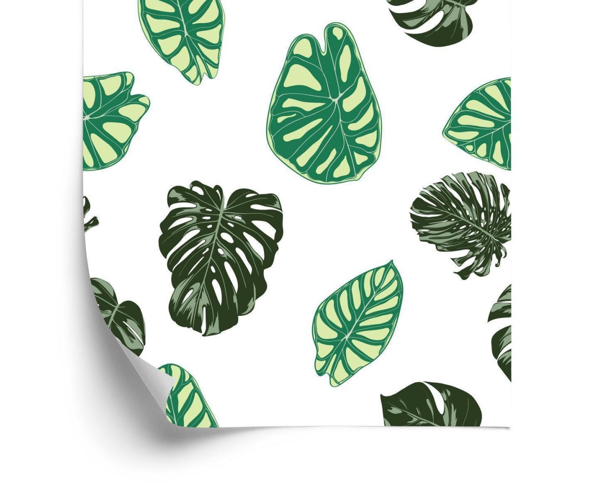 Tapete Monstera- Und Alocasia-Blätter