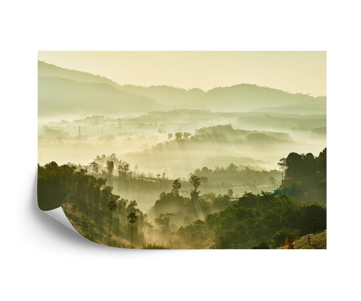Fototapete Wald Im Nebel
