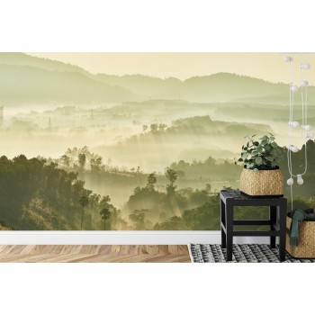 Fototapete Wald Im Nebel
