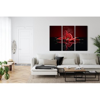 Mehrteiliges Bild Rote Chilischoten