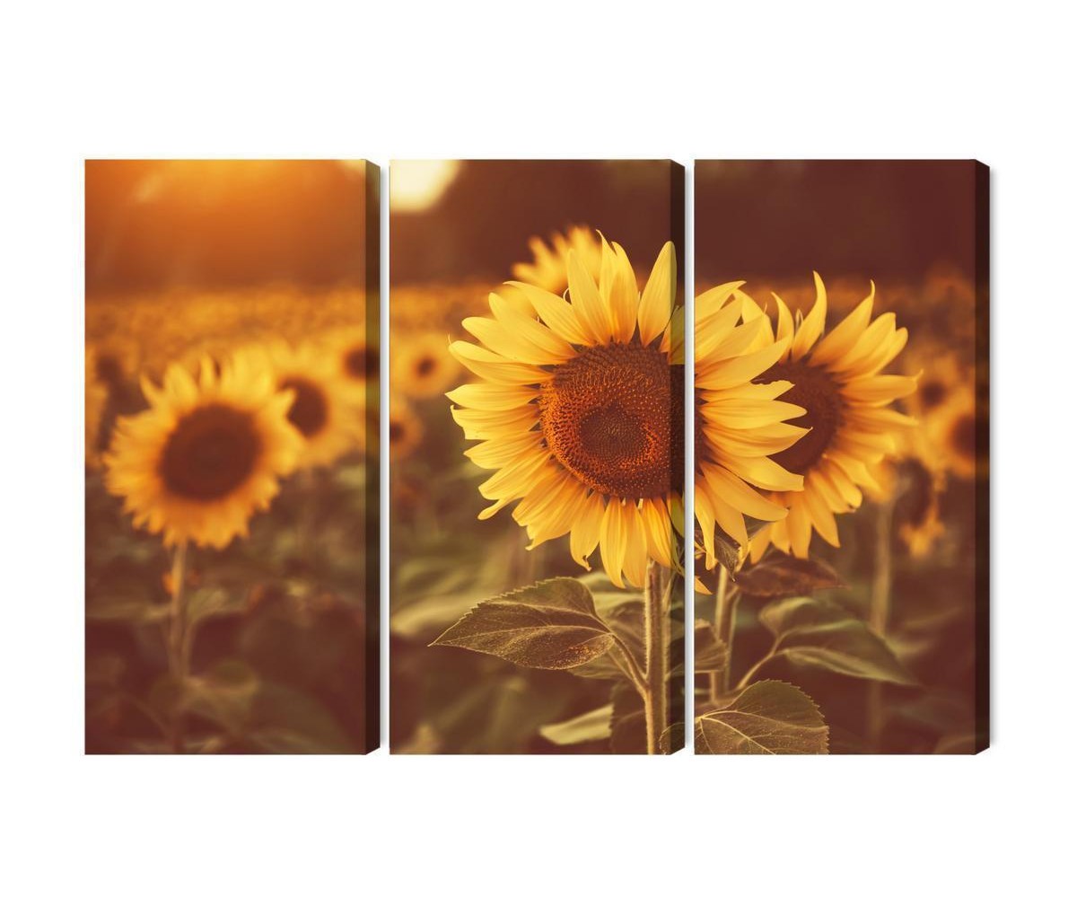 Mehrteiliges Bild Ein Feld Mit Sonnenblumen Im Retro-3D-Stil