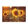 Mehrteiliges Bild Ein Feld Mit Sonnenblumen Im Retro-3D-Stil
