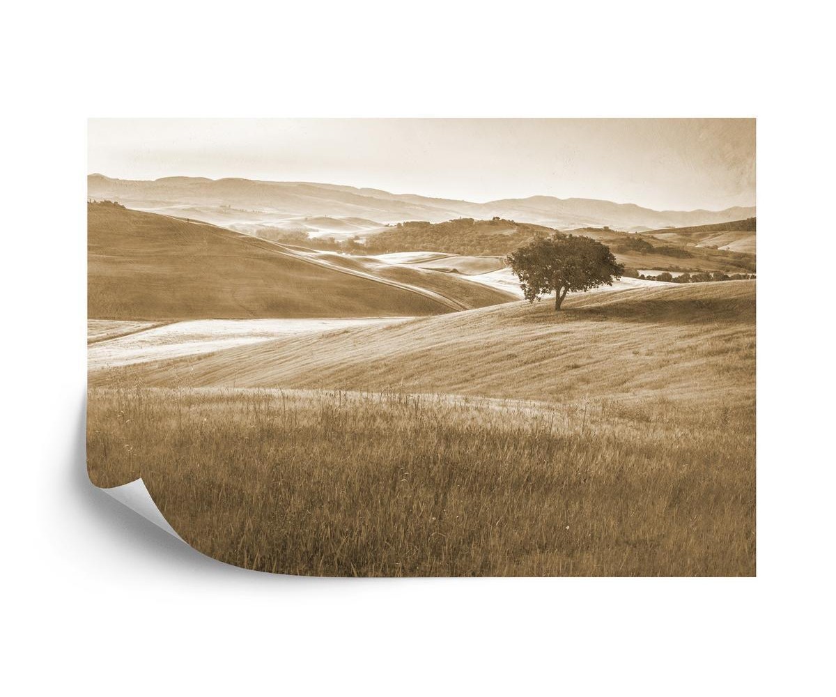 Fototapete Rolling Hills Verblaßte Weinlese Im Sepia