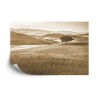 Fototapete Rolling Hills Verblaßte Weinlese Im Sepia