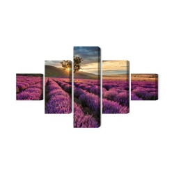 Mehrteiliges Bild Lavendelfeld Bei Sonnenuntergang 3D