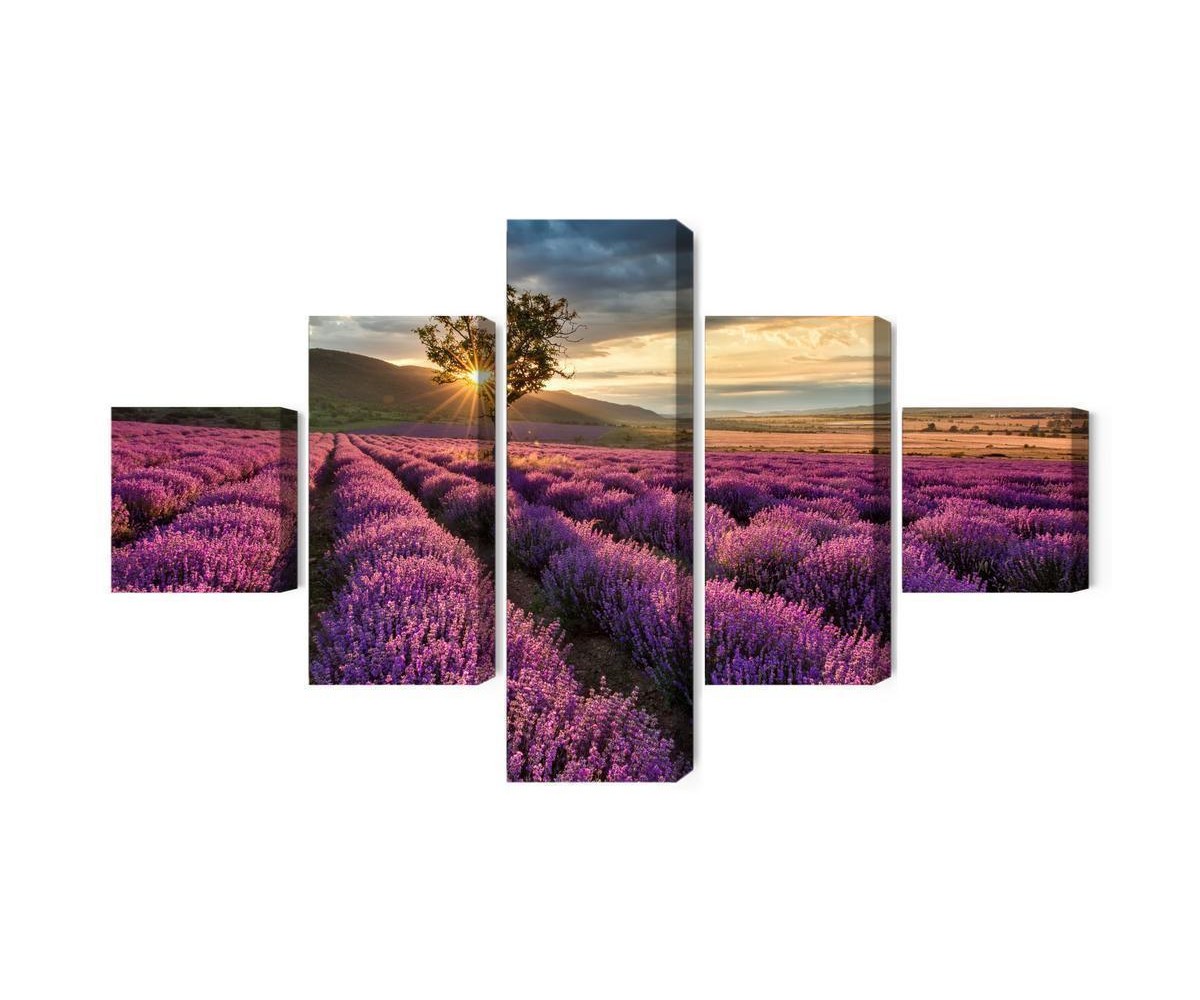 Mehrteiliges Bild Lavendelfeld Bei Sonnenuntergang 3D