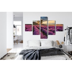 Mehrteiliges Bild Lavendelfeld Bei Sonnenuntergang 3D