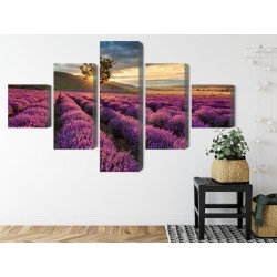 Mehrteiliges Bild Lavendelfeld Bei Sonnenuntergang 3D