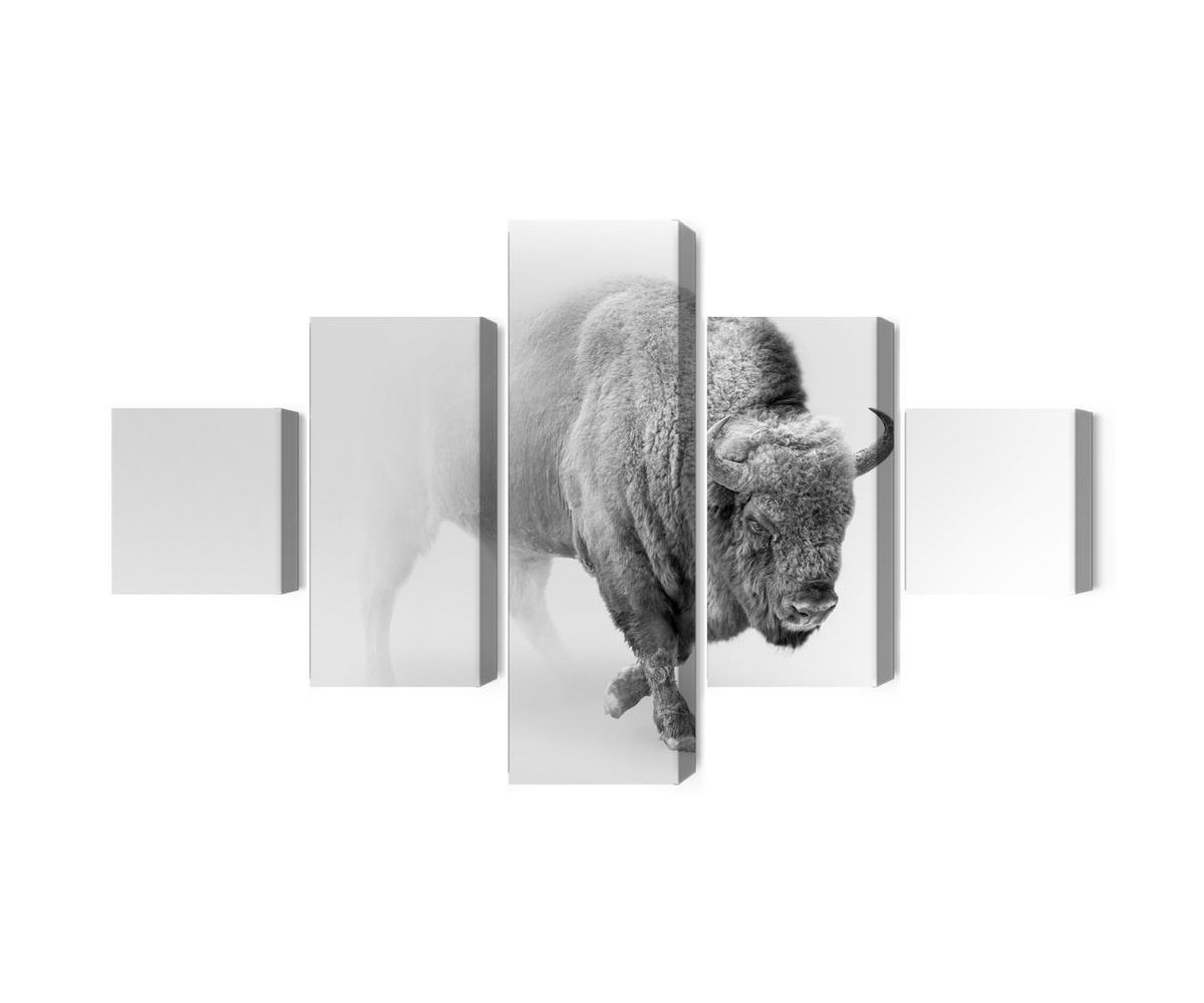 Mehrteiliges Bild Bison Im Nebel 3D