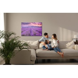 Leinwandbild Schöne Lavendellandschaft