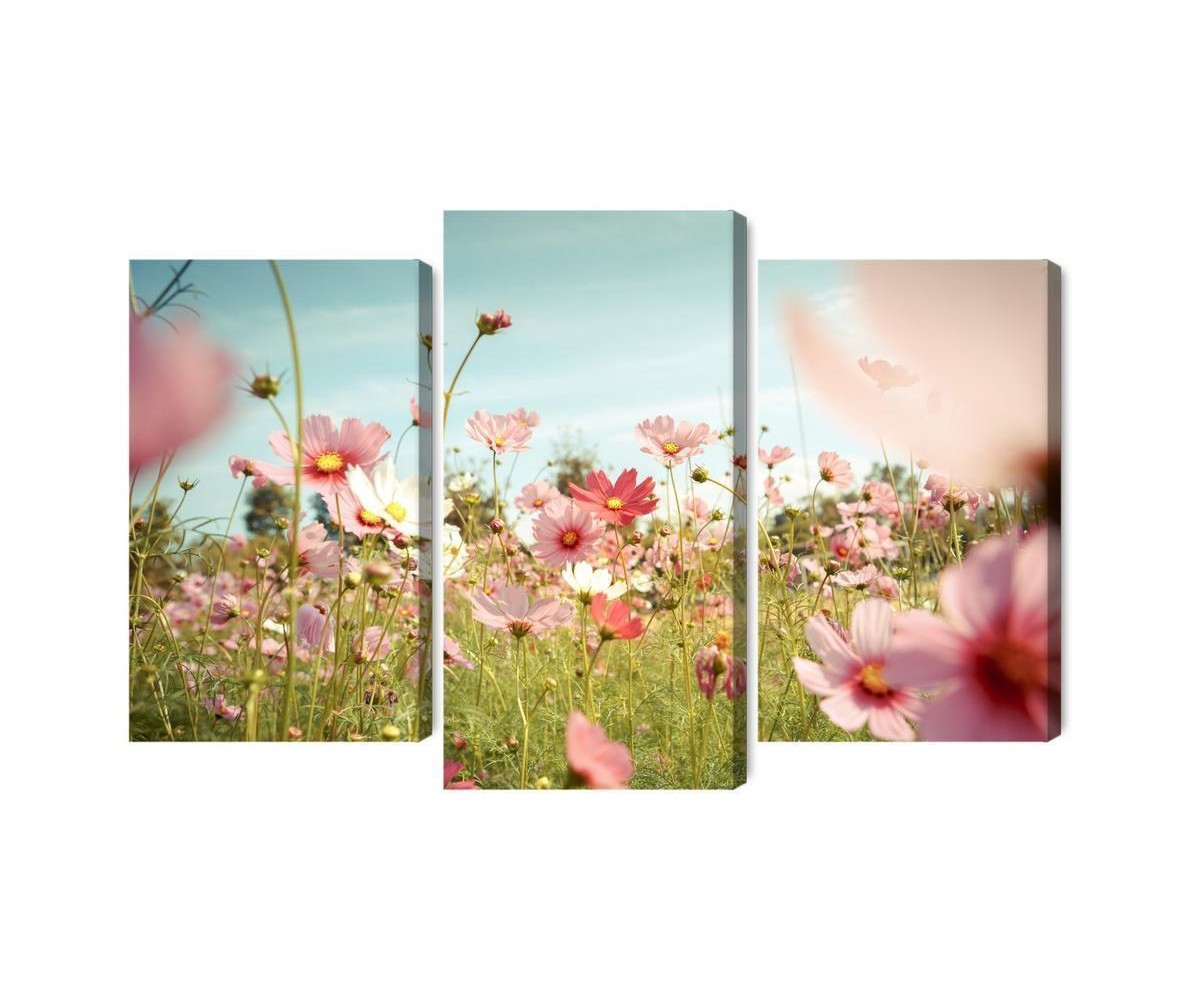 Mehrteiliges Bild Kosmosblumen Im Garten