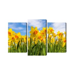 Mehrteiliges Bild Narzissenfeld 3D