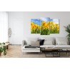 Mehrteiliges Bild Narzissenfeld 3D