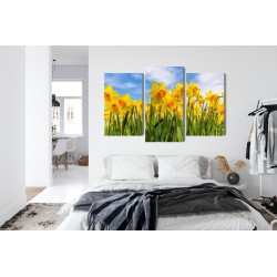 Mehrteiliges Bild Narzissenfeld 3D