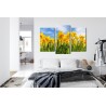Mehrteiliges Bild Narzissenfeld 3D