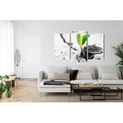 Mehrteiliges Bild 3D-Pflanzenkeimung