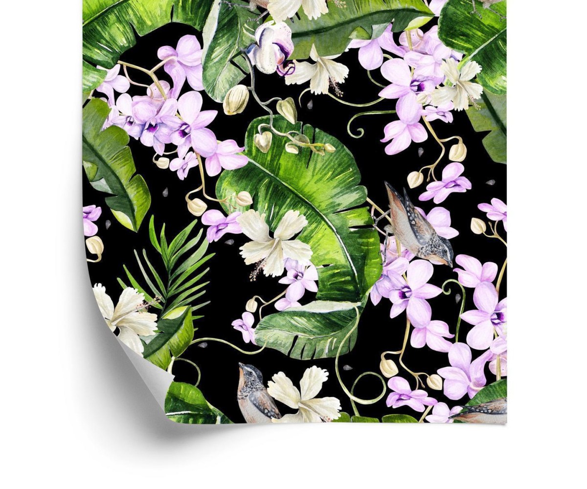 Tapete Für Wohnzimmer Orchideen Natur Blumen Pflanzen