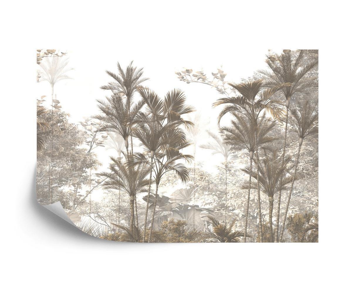 Fototapete Tropical Trees And Leaves Wallpaper Design In Foggy Forest - 3D