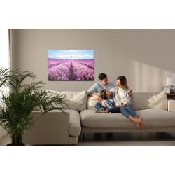 Leinwandbild 3D Blühendes Lavendelfeld