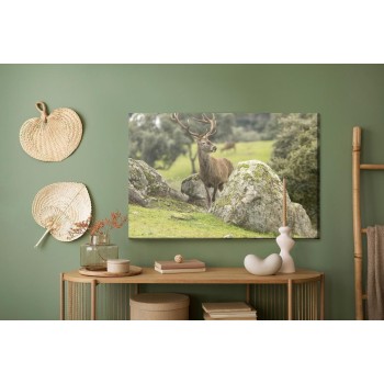 Leinwandbild Ein Reh Zwischen Den Felsen