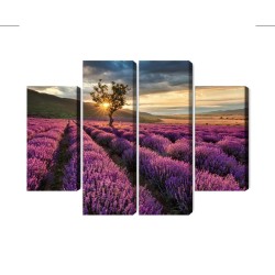 Mehrteiliges Bild Lavendelfeld Bei Sonnenuntergang 3D