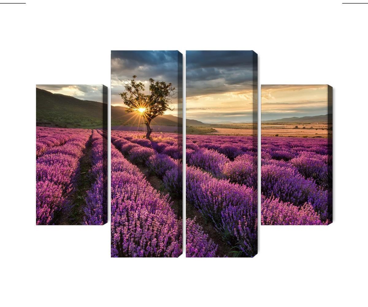Mehrteiliges Bild Lavendelfeld Bei Sonnenuntergang 3D